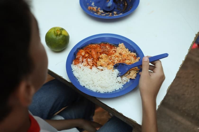 PNAE: Programa Nacional de Alimentação Escolar e a regra dos 30%