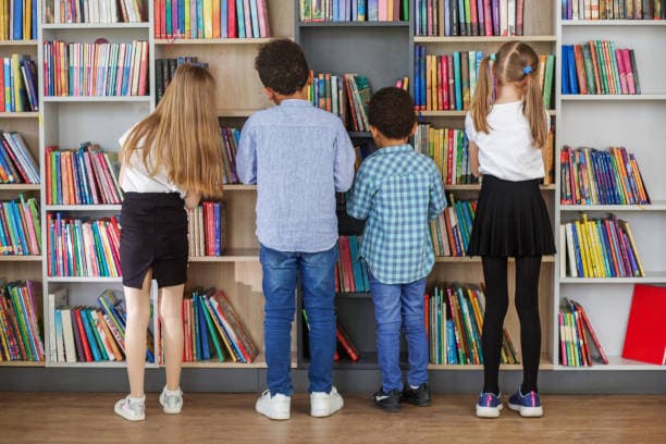 PNLD: como funciona a distribuição de livros didáticos